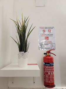 une bouche d'incendie et une plante en pot sur une étagère dans l'établissement SAN BIAGIO HOUSE, à Naples