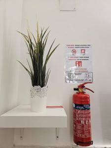 a fire hydrant and a potted plant on a shelf at Suite SANTA CHIARA in Naples