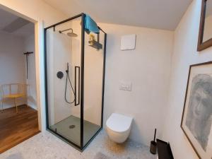a bathroom with a glass shower with a toilet at Villa Ines in Riva del Garda