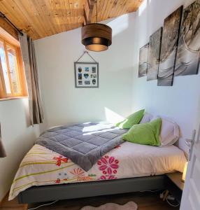 1 dormitorio con 1 cama con almohadas verdes en La retraite Pyrénéenne en Saint-Laurent-de-Neste