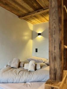 ein Schlafzimmer mit 2 Betten mit Kissen darauf in der Unterkunft Le Nid de l'Aiguille - Au pied de l'Aiguille du midi in Chamonix-Mont-Blanc