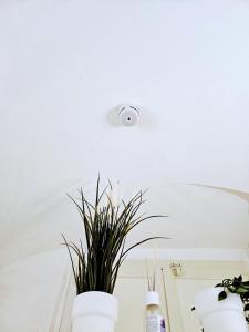 a plant in a white vase on a table at Suite SAN GENNARO BIS in Naples +165 photos