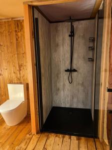 a bathroom with a shower with a toilet in it at Quinta Aurora in Burgau