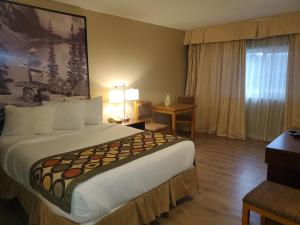 Letto o letti in una camera di Super 8 by Wyndham Duncan