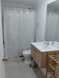 Et badeværelse på EL REFUGIO DE FRAN en PARQUE PUCÓN ORIENTE