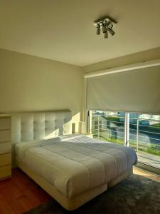 ポンタ・デルガダにあるAzores Paim Apartmentのベッドルーム1室(ベッド1台、大きな窓付)