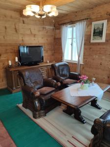 a living room with leather furniture and a television at Alfapartmány in Krásná Lípa