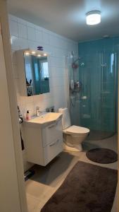 ein Bad mit einer Dusche, einem Waschbecken und einem WC in der Unterkunft Eurovision 2024 in Malmö