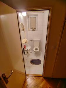 un piccolo bagno con un water e un lavandino di JO.RA. APARTMENT a Bačka Palanka