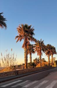 a row of palm trees on the side of a road at Appartamento a due passi dal mare, Forio in Ischia