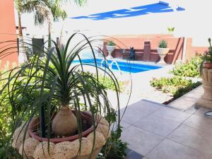 Gallery image of Amplios exteriores y alberca in San Carlos