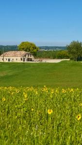 ein Feld gelber Blumen vor einem Gebäude in der Unterkunft Villa de 6 chambres avec piscine privee jardin amenage et wifi a Montpezat de Quercy in Montpezat-de-Quercy