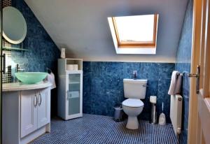 a bathroom with a toilet and a sink and a mirror at The Cliffs of Moher Holiday House in Doolin