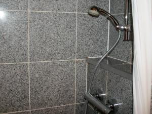 a shower with a shower head in a bathroom at Ferienwohnung Altes Haus 2 - Gemütlich und zentral in denkmalgeschütztem Haus in Lindau +13 photos