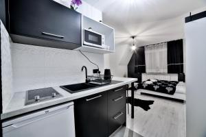 a kitchen with a sink and a microwave at Apartamenty czarna perła in Szaflary
