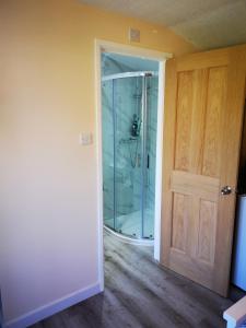 a bathroom with a shower and a glass door at Impeccable 1-Bed Lodge in Eastleigh in Eastleigh