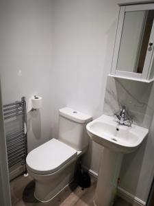 Baño blanco con aseo y lavamanos en Impeccable 1-Bed Lodge in Eastleigh, en Eastleigh