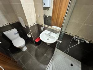 a small bathroom with a toilet and a sink at Pine Tree - charming apartment in Bansko