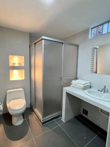 uma casa de banho com um chuveiro, um WC e um lavatório. em Departamento Los viñedos em Ica