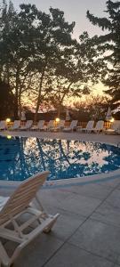 The swimming pool at or close to Hotel Exotica