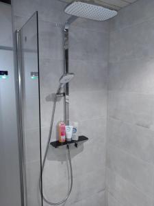 a bathroom with a shower with a shower head at Koivuniemen Tila 3 in Säkylä