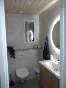 a bathroom with a sink and a toilet and a mirror at Koivuniemen Tila 3 in Säkylä +24 photos