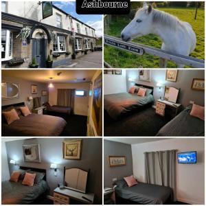 a collage of pictures of a hotel room with a horse at The Shady Oak B&B in Highpeak Junction