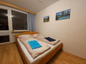 Postel nebo postele na pokoji v ubytování Apartmán Pod Lesem - Krkonoše