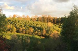 uma vista para um campo com árvores numa colina em Duplex avec superbe vue boisée em Esneux