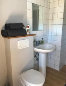 uma casa de banho com um lavatório, um WC e um espelho. em Duplex avec superbe vue boisée em Esneux