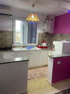 O bucătărie sau chicinetă la cosy Furnished appartment