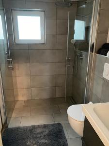 a bathroom with a shower and a toilet and a sink at Finkennest in Illingen +16 photos