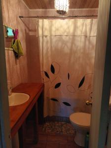 ein Badezimmer mit einem Duschvorhang, einem WC und einem Waschbecken in der Unterkunft Cabaña Martita in Pucón