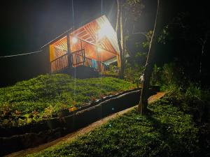 Zahrada ubytování The Rainforest Hideaway