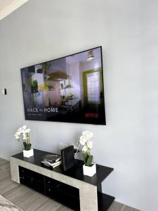 a living room with a flat screen tv on a wall at Ridge View in Kingstown