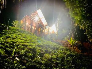 Zahrada ubytování The Rainforest Hideaway