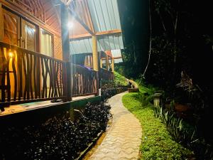 Zahrada ubytování The Rainforest Hideaway