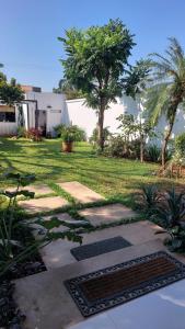 A garden outside Casa de Mia