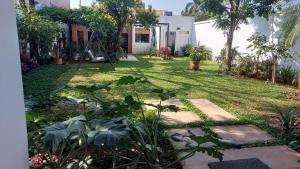 A garden outside Casa de Mia