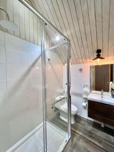 La salle de bains est pourvue d'une douche en verre et de toilettes. dans l'établissement AncudLodge, à Ancud