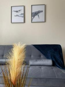 a living room with a couch and three pictures on the wall at Spacious 4-bed House in Leicester in Leicester