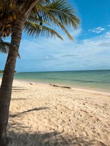 Ein Strand an oder in der Nähe des Ferienhauses