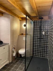 GavereにあるGastenverblijf A&A met mezzanineのバスルーム(トイレ、ガラス張りのシャワー付)