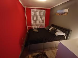 um quarto com uma cama com uma parede vermelha em Apartament przy dworcu w Sanoku em Sanok