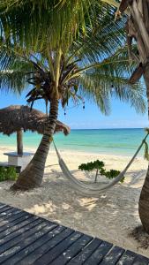 eine Hängematte, die von zwei Palmen am Strand hängt in der Unterkunft Pronoia Casa de Playa in Mahahual