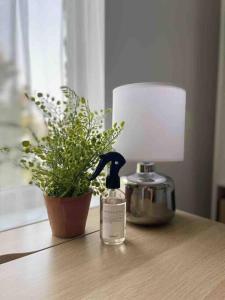 a bottle of perfume and a potted plant on a table at Studio Apartment - London in London