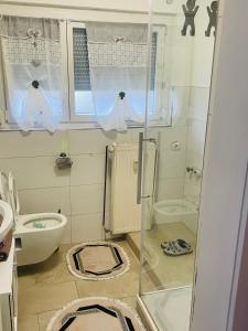 La petite salle de bains est pourvue d'une douche et de toilettes. dans l'établissement Ferienwohnung Fera, 