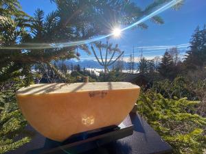 Paesaggio naturale nelle vicinanze dello chalet