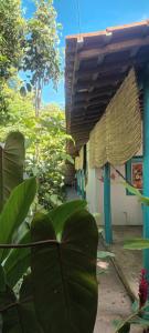 a house with a large green plant in front of it at 4eTal Trancoso in Trancoso
