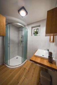 uma casa de banho com um chuveiro e um lavatório. em Apartmajska hiša VINARIA em Zgornja Ložnica